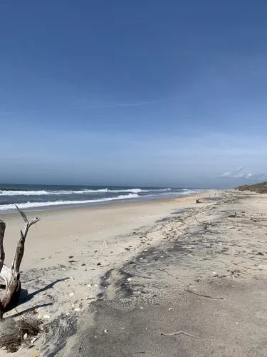 2023 Best Beach Trails in Harkers Island | AllTrails