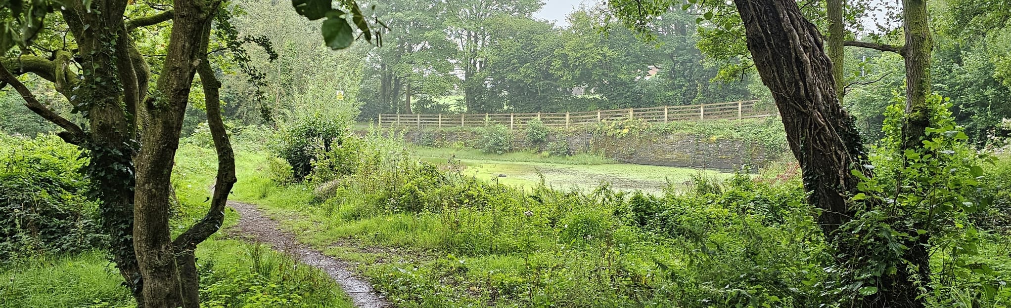 Newport Tredegar Park Monmouthshire Canal, Newport, Wales 5