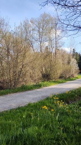 Luchsbrunnen Rundweg