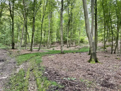 céramiste, Parc Naturel des Boucles de la Seine, Normande