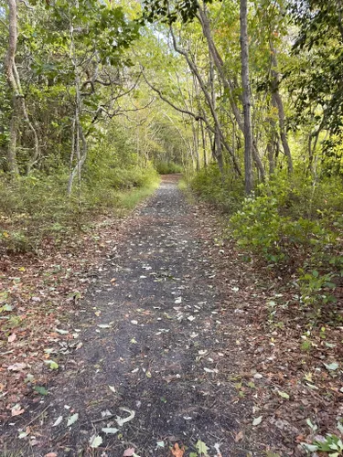 10 Best Trails and Hikes in Brick Township