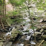 Waterdown Trail to Smokey Hollow, Ontario, Canada - 2,066 Reviews, Map ...