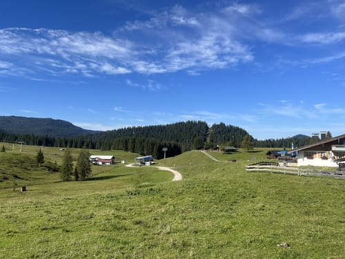 Mooswinklalm - Muckklause