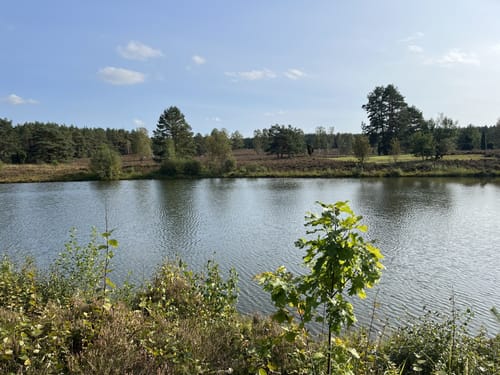 Heidschnuckenweg Etappe 12: Weesen - Dehningshof