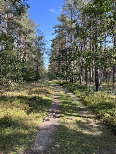 Heidschnuckenweg Etappe 12: Weesen - Dehningshof