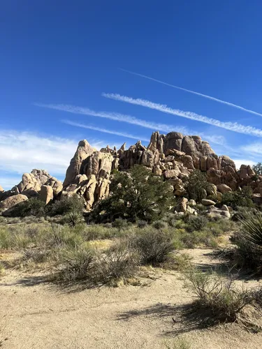 Best short 2024 hikes joshua tree