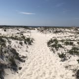 Pine Beach Trail, Alabama - 449 Reviews, Map | AllTrails