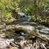 Mount Olympus Pipeline Trail, Utah - 957 Reviews, Map 