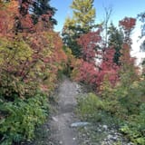 Green Pond Loop Trail, Utah - 419 Reviews, Map | AllTrails