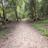 Point of Rocks Trail, Virginia - 442 Reviews, Map | AllTrails