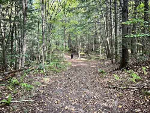 Best Hikes and Trails in Lower Shaker Wildlife Management Area | AllTrails