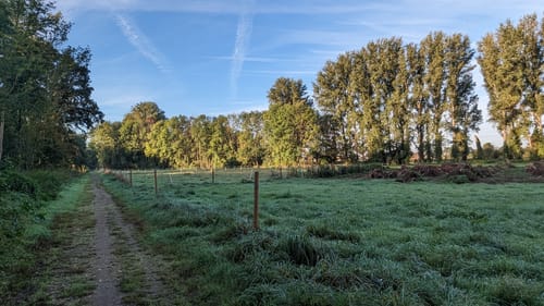 Schwalmbruch (Premiumwanderweg)