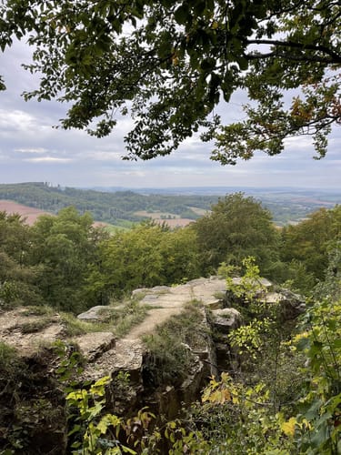 Um Bärenpark Worbis und Burg Bodenstein