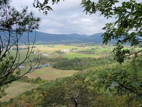 Walking the Cotton Hill Park Trail