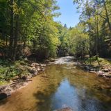 Deep Creek Loop Trail, North Carolina - 1,984 Reviews, Map | AllTrails