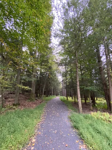 Back Mountain Trail, Pennsylvania - 63 Reviews, Map | AllTrails