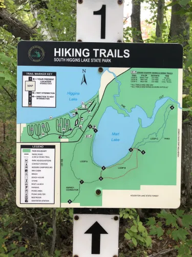 Best Hikes And Trails In South Higgins Lake State Park 