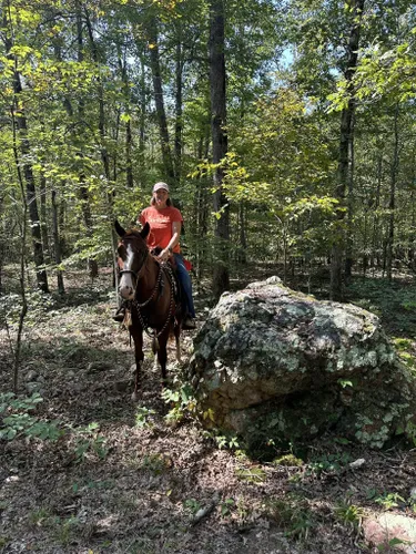 Best Hikes and Trails in Castor River Conservation Area | AllTrails