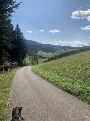 Panoramawanderung in Oberharmersbach