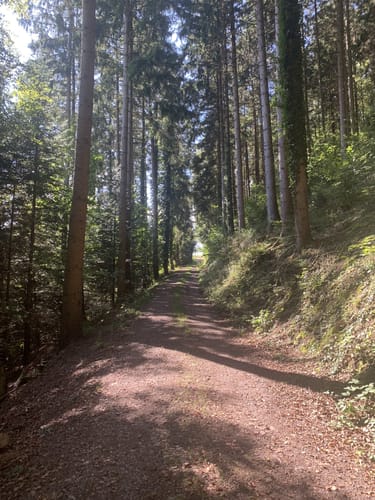 Panoramawanderung in Oberharmersbach