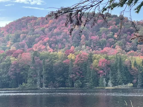 Best Camping Trails in Otter Lake | AllTrails