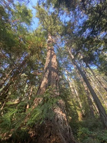 10 Best Hikes And Trails In Gulf Islands National Park Reserve Alltrails