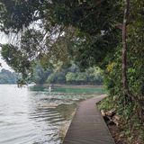 MacRitchie Reservoir And TreeTop Walk Loop, Central, Singapore - 808 ...