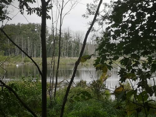Um den Kesselsee und Paradiessee