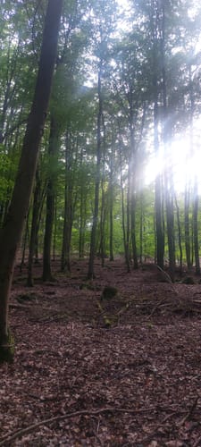 Zweiburgen-Extratour (Premiumwanderweg)