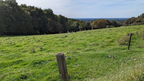 Bergweltenweg