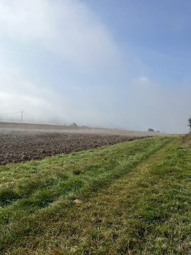 Premiumwanderweg: Traumschleife Via Molarum