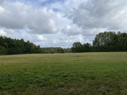 Moritzburg Park Runde