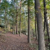 Nelson's Ledges Trail, Ohio - 761 Reviews, Map 