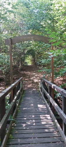 Teufelsbrücke – Elmensee Runde von Nordeck