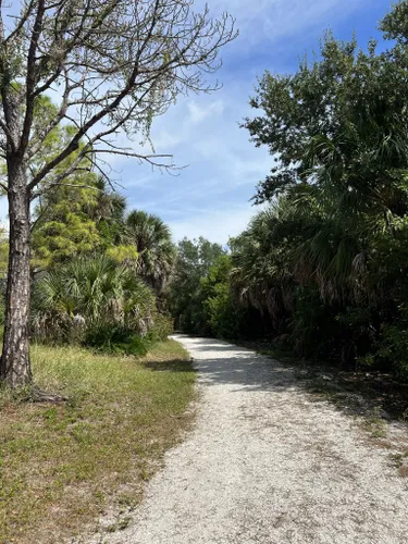 Best Hikes and Trails in Clam Bayou Park | AllTrails