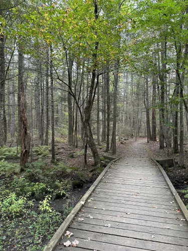 Best Hikes and Trails in Ferry Beach State Park | AllTrails