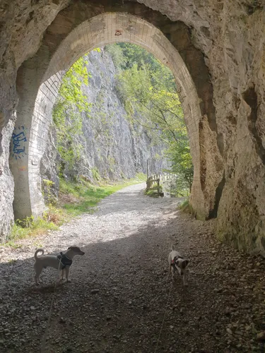 Best Hikes and Trails in Les PlanchesenMontagne AllTrails