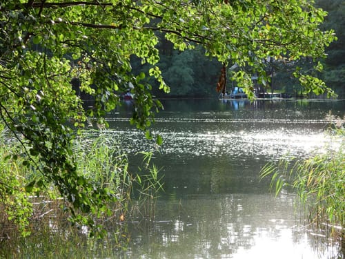 Um den Schermützelsee