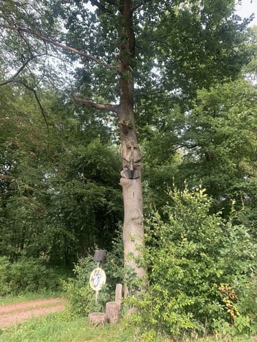 Frauenseer Weg