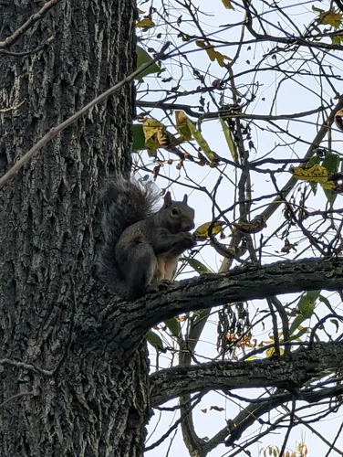 2023 Best Backpacking Trails in Slinger AllTrails