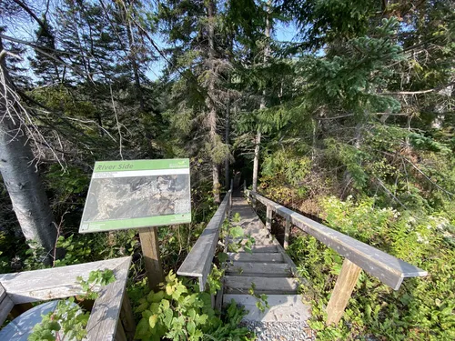 Best Hikes and Trails in Springdale | AllTrails