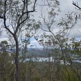 Wyaralong Dam Loop, Queensland, Australia - 80 Reviews, Map | AllTrails