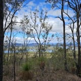 Wyaralong Dam Loop, Queensland, Australia - 80 Reviews, Map | AllTrails