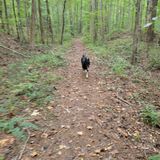 Cherokee Bluffs Dam Railroad And John B. Scott Forever Wild Loop ...