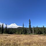 Elk Meadows South Trail, Oregon - 497 Reviews, Map | AllTrails