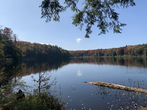 Best Mountain Biking Trails in Otter Lake | AllTrails