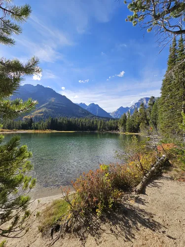 Best easy day hikes grand teton national discount park