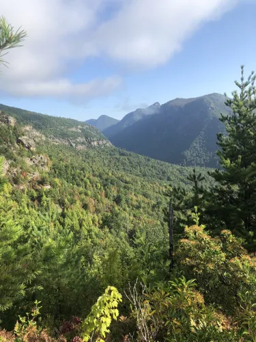 Daffodil Flats - Linville Gorge, Located in the rugged Linv…