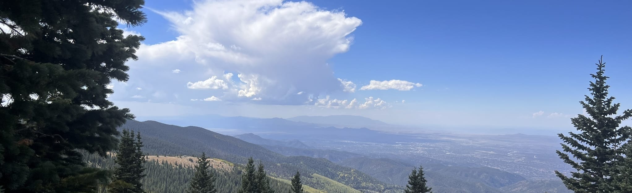 Tesuque Peak via Tesuque Creek North Fork Trail, New Mexico 128