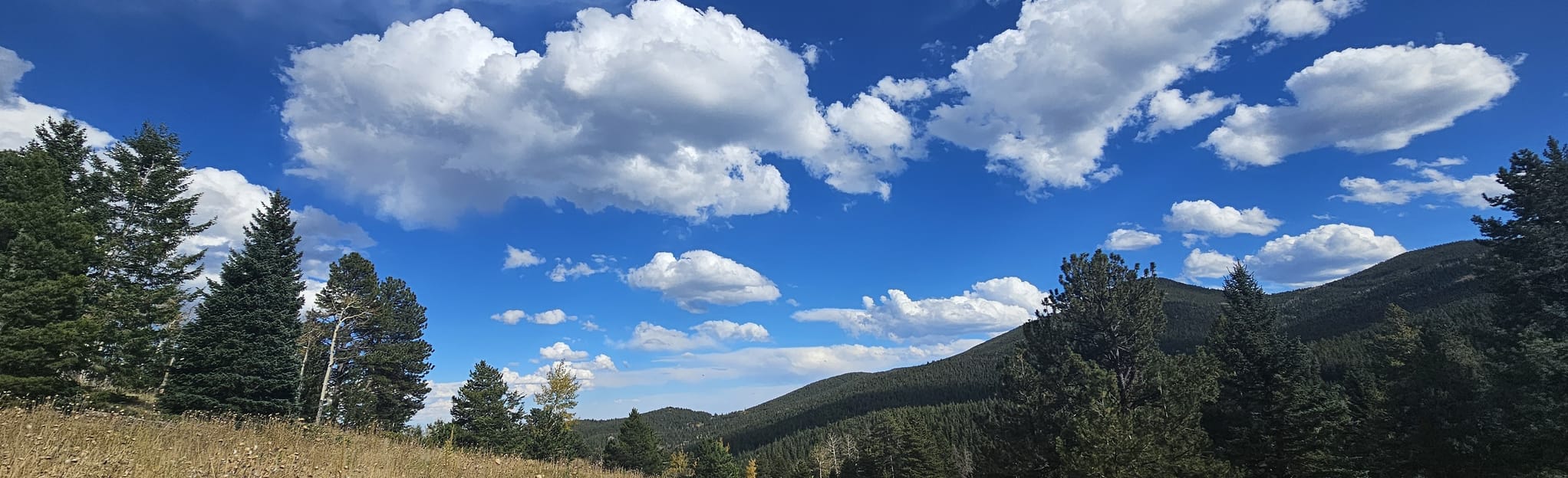 Beaver Brook and Beaver Brook Watershed Loop, Colorado 765 Reviews